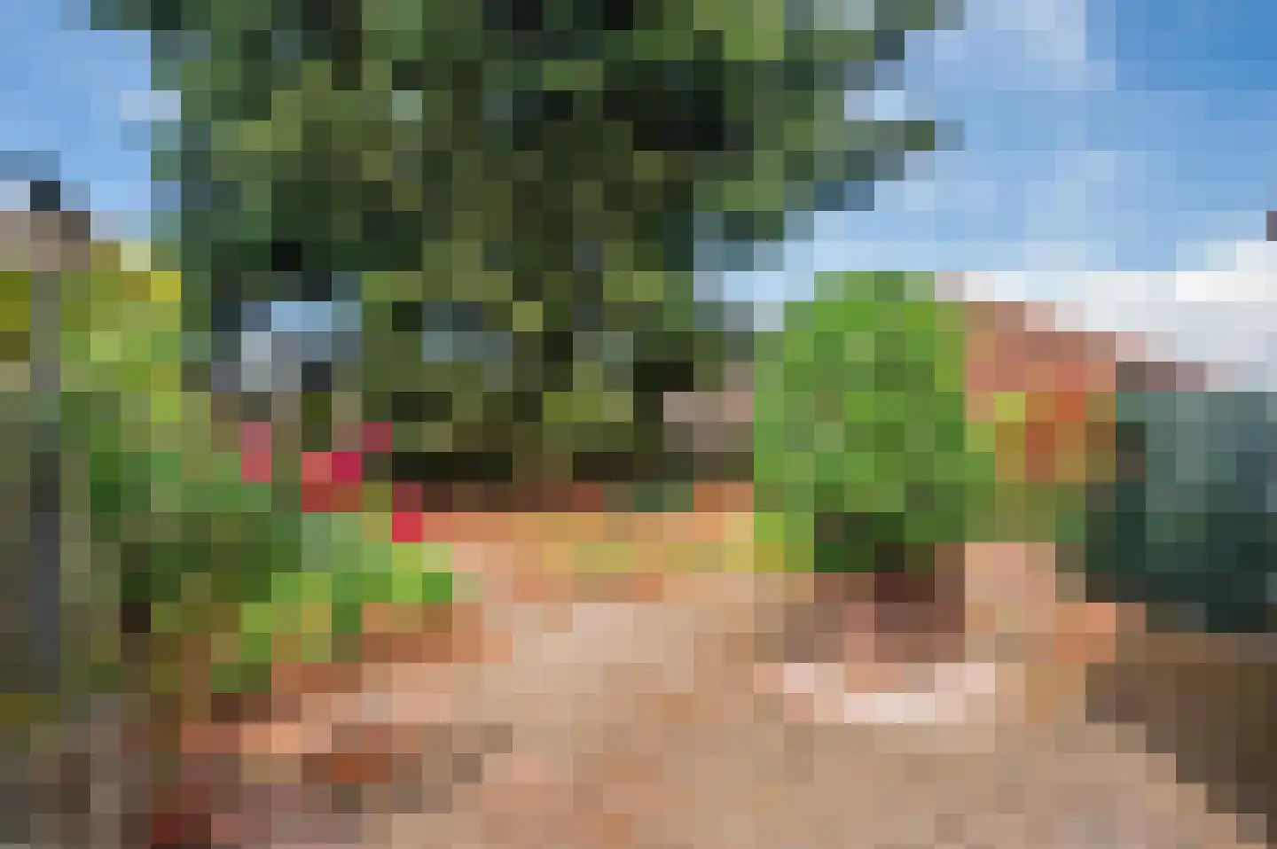 Oude Baan 17 Reuver thumbnail 27