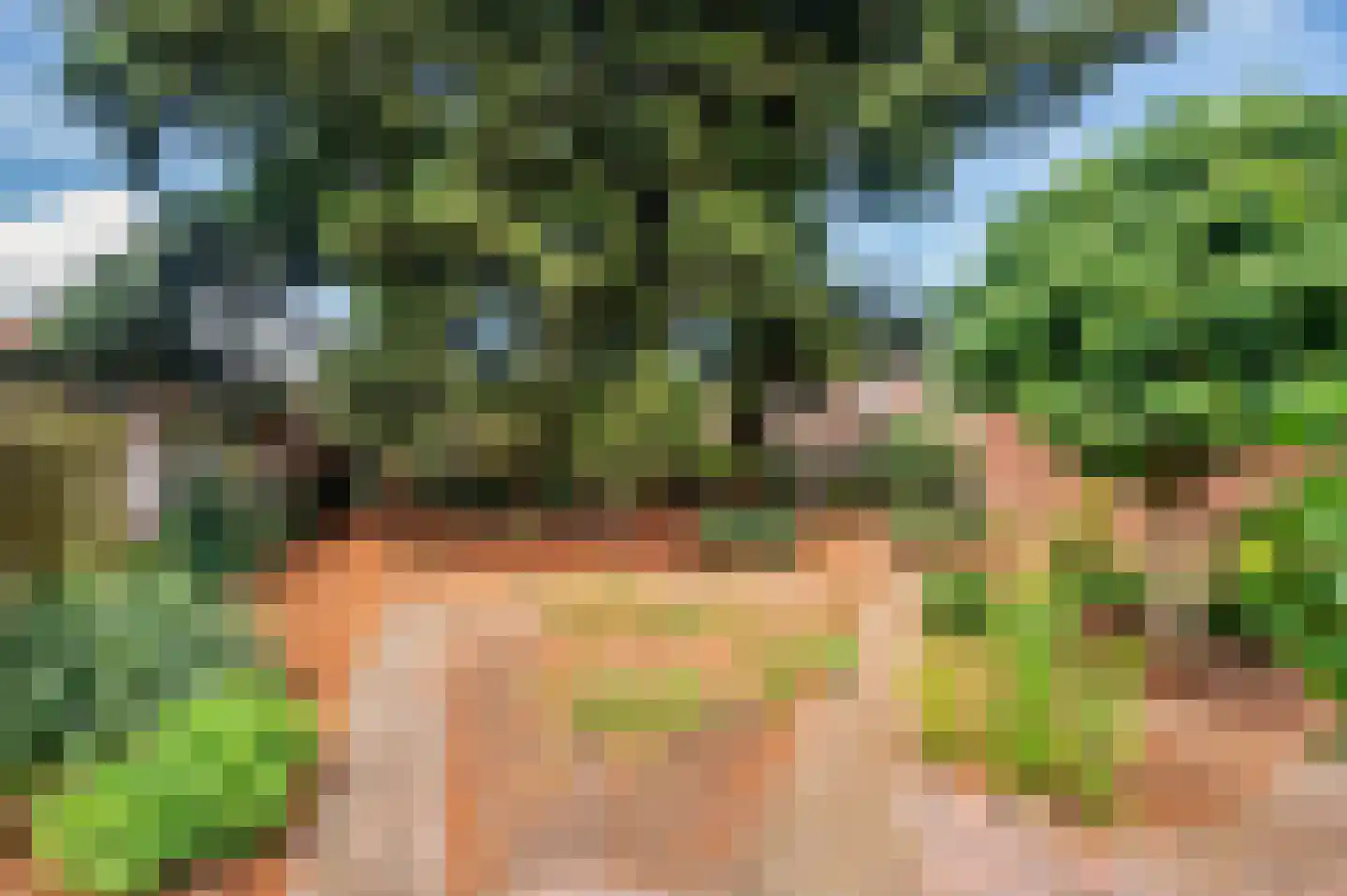 Oude Baan 17 Reuver thumbnail 28