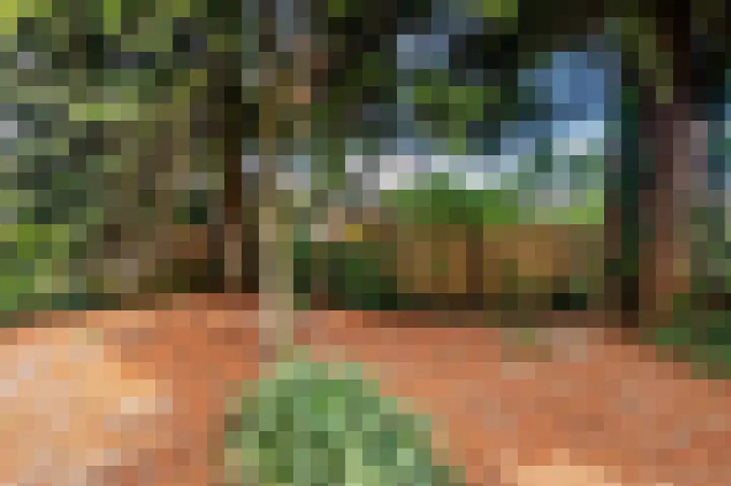 Oude Baan 17 Reuver thumbnail 29