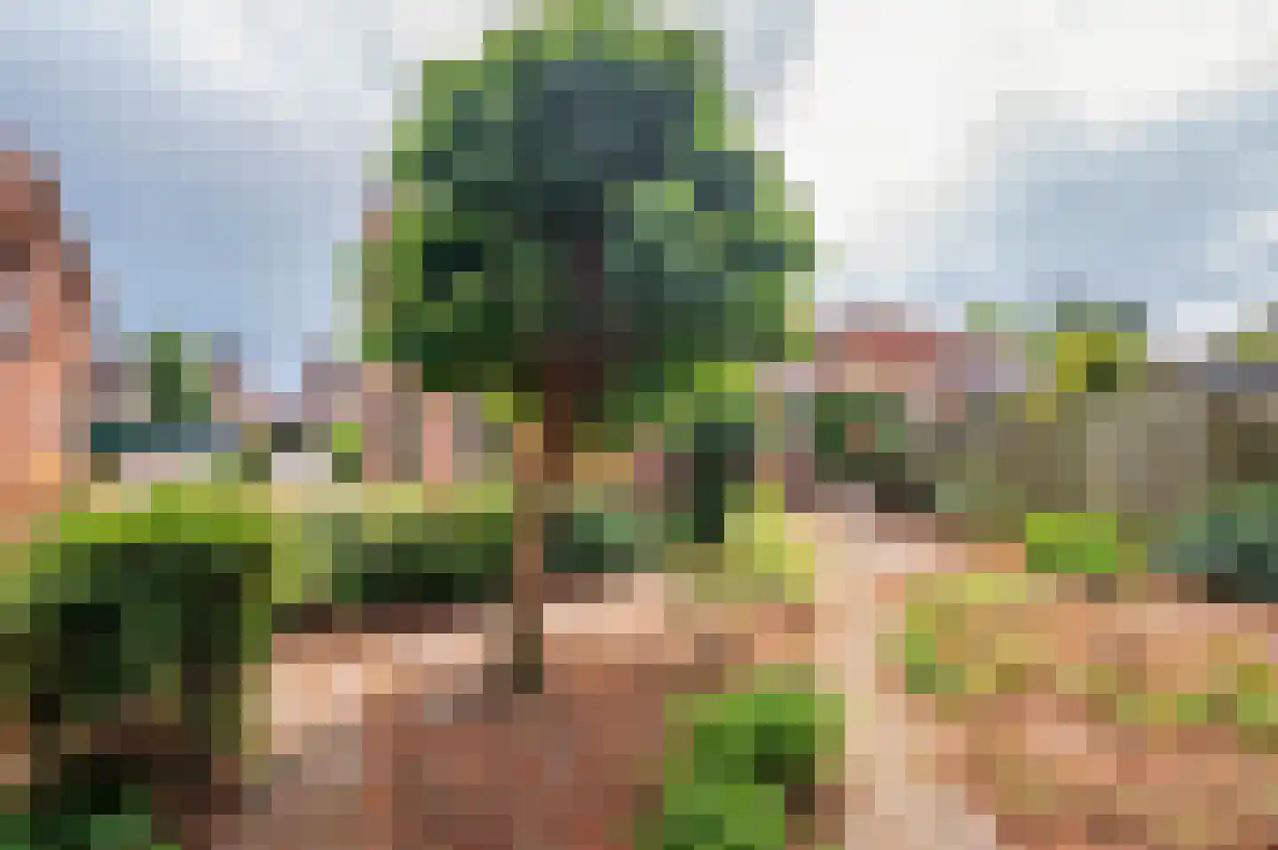 Oude Baan 17 Reuver thumbnail 31