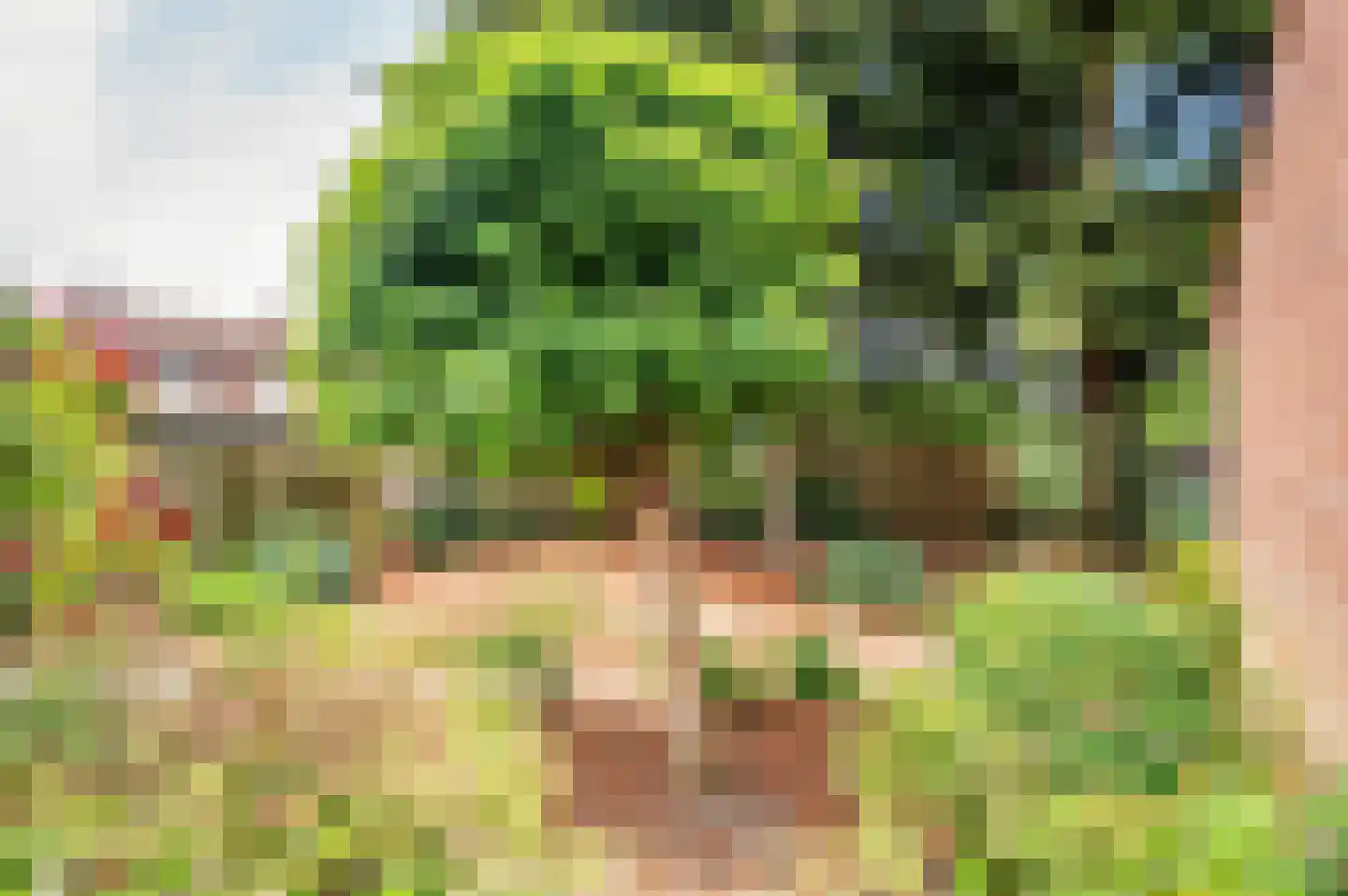 Oude Baan 17 Reuver thumbnail 35