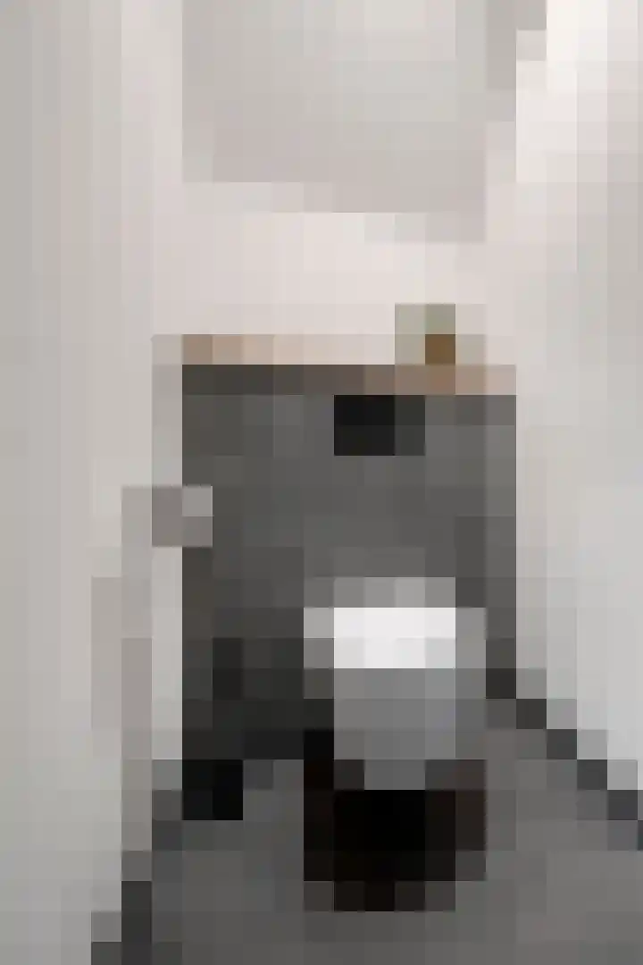 Oude Baan 2 B Geffen thumbnail 28