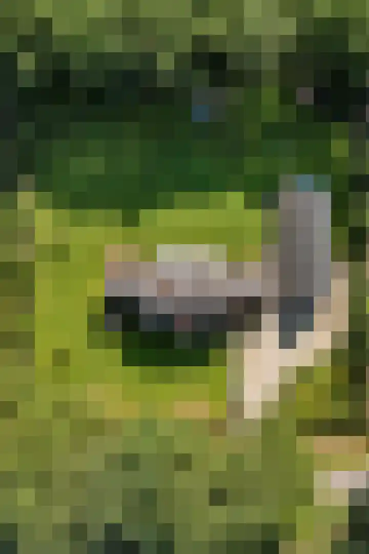 Oude Baan 2 B Geffen thumbnail 4