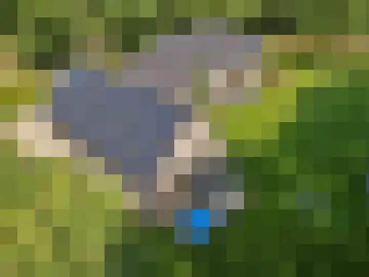 Oude Baan 2 B Geffen thumbnail 49