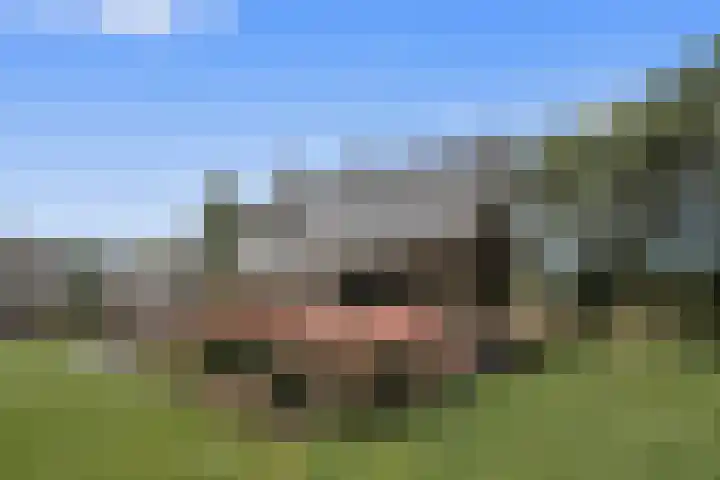 Oude Baan 2 B Geffen thumbnail 52
