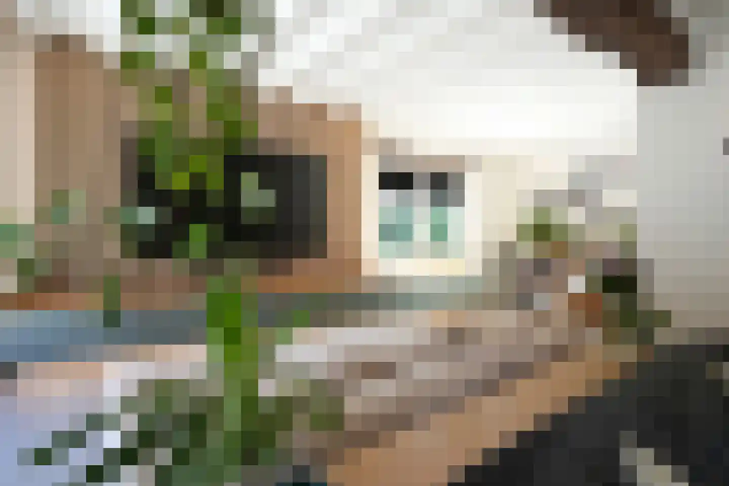 Oude Baan 2 Wittem thumbnail 11