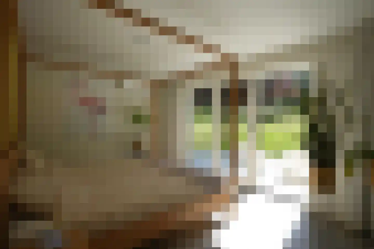 Oude Baan 2 Wittem thumbnail 33