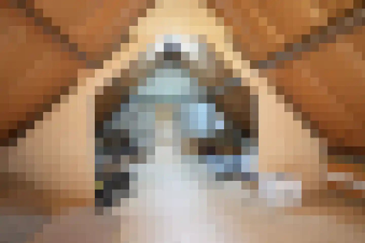 Oude Baan 2 Wittem thumbnail 46