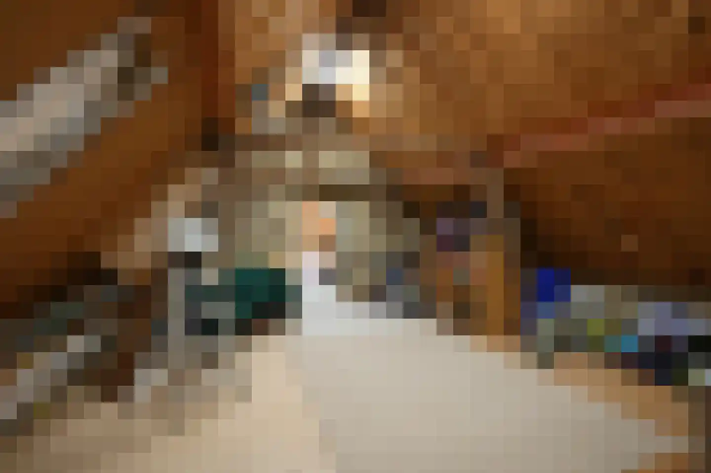Oude Baan 2 Wittem thumbnail 47