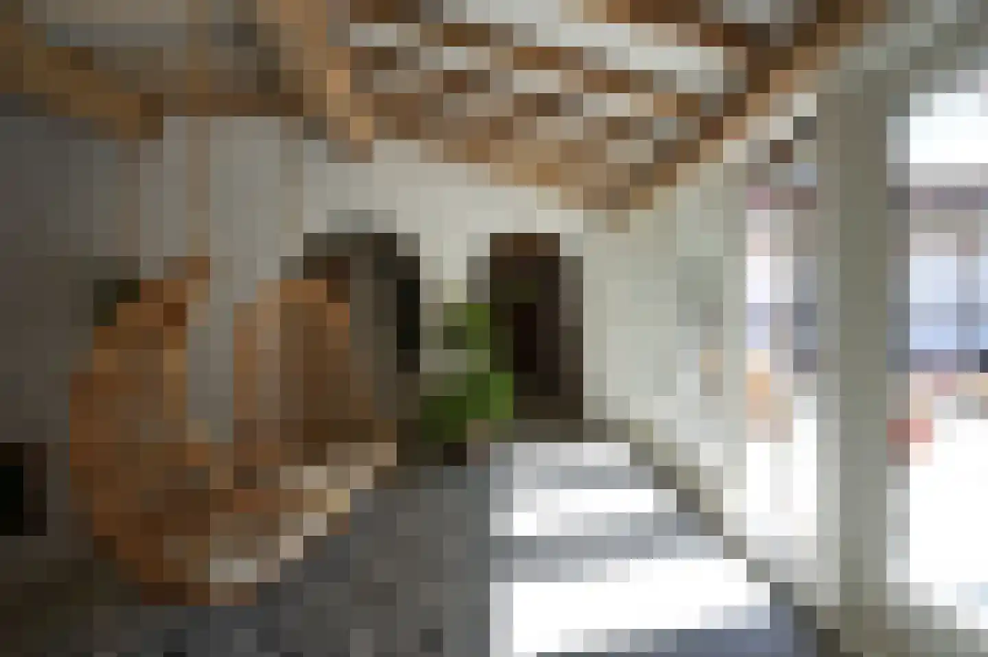 Oude Baan 2 Wittem thumbnail 49