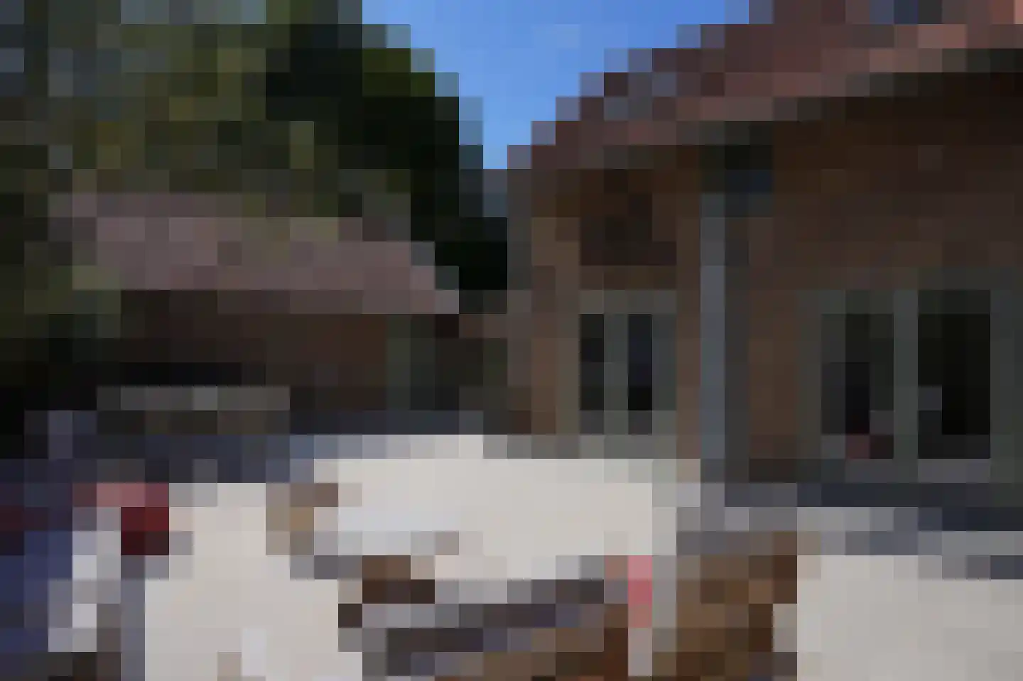 Oude Baan 2 Wittem thumbnail 54