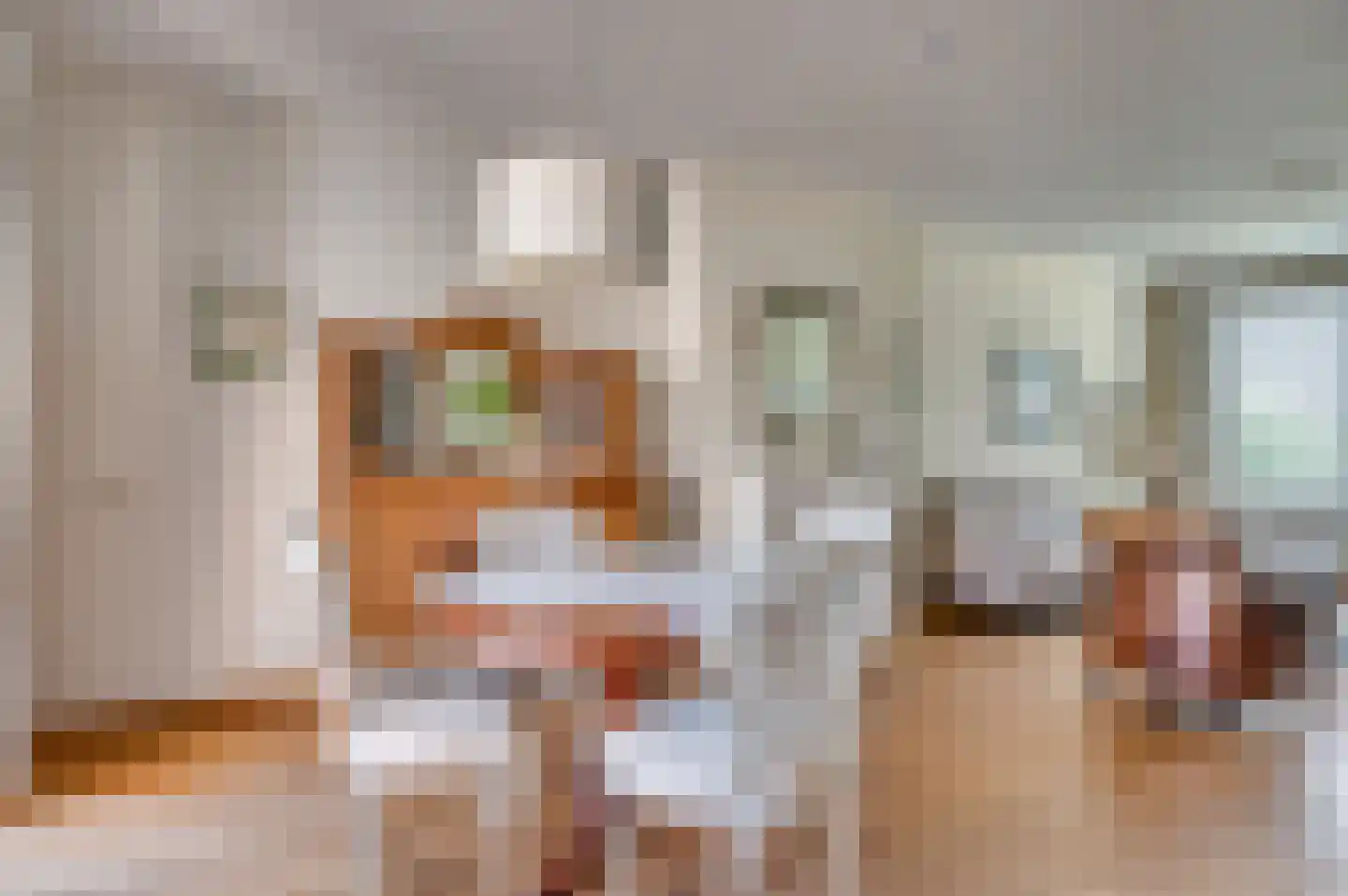 Oude Baan 22 Reuver thumbnail 10