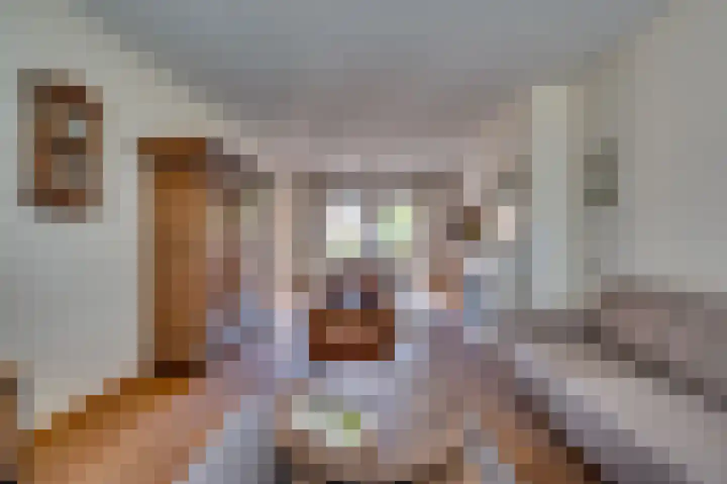 Oude Baan 22 Reuver thumbnail 14