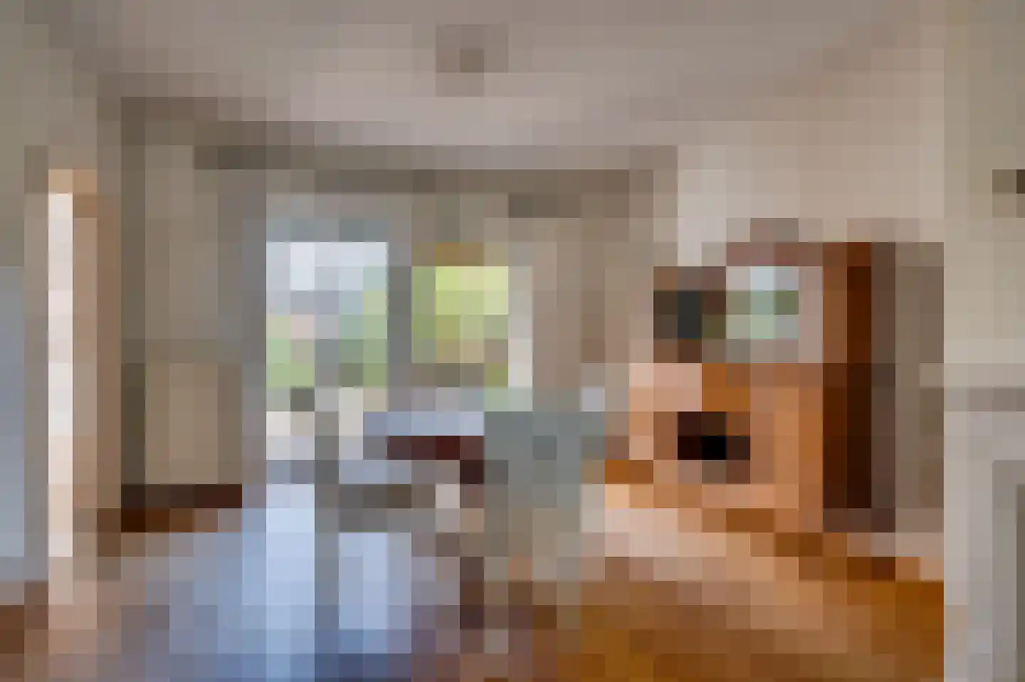 Oude Baan 22 Reuver thumbnail 15