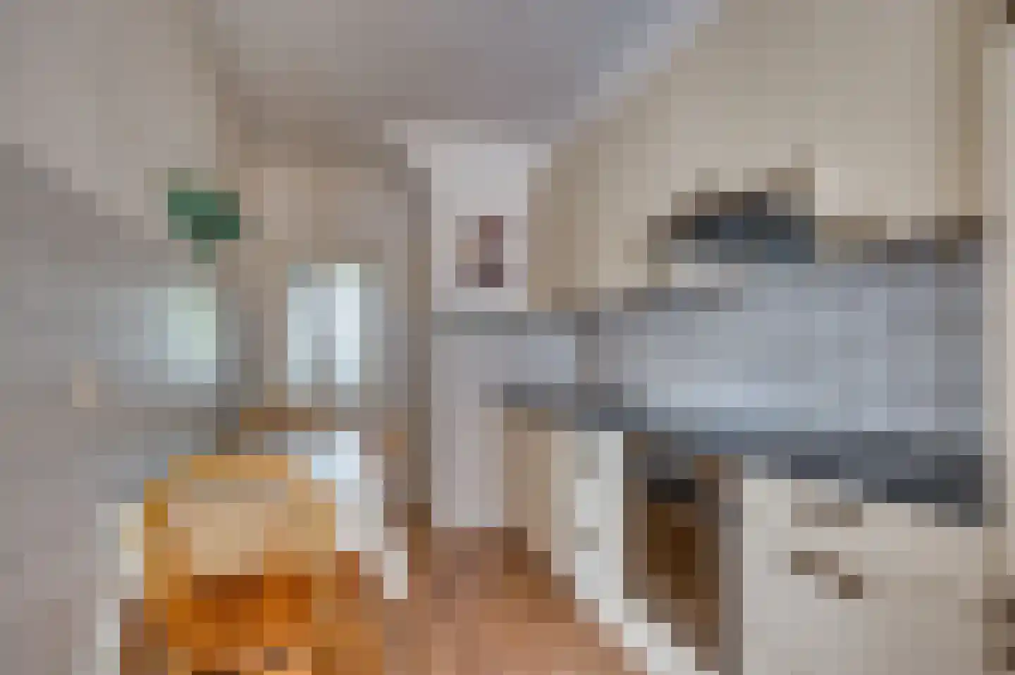 Oude Baan 22 Reuver thumbnail 19