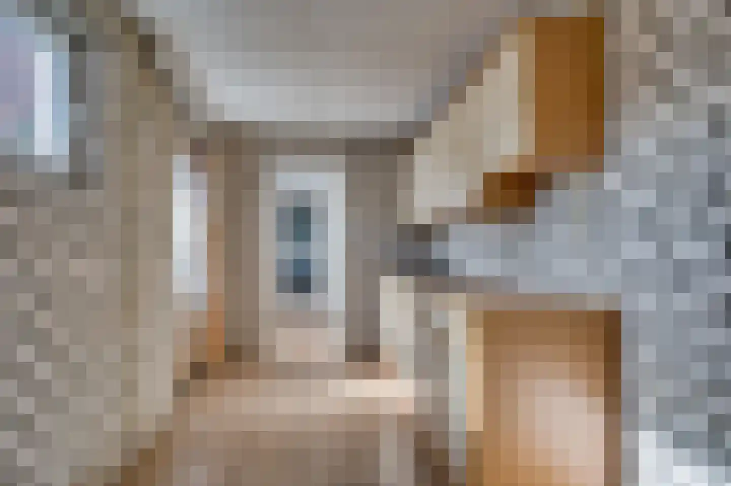 Oude Baan 22 Reuver thumbnail 24