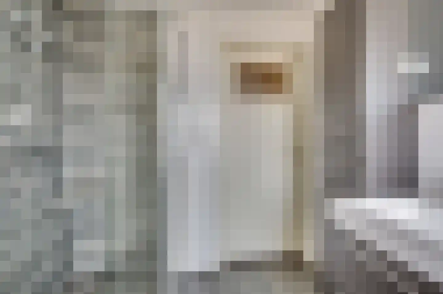 Oude Baan 22 Reuver thumbnail 32