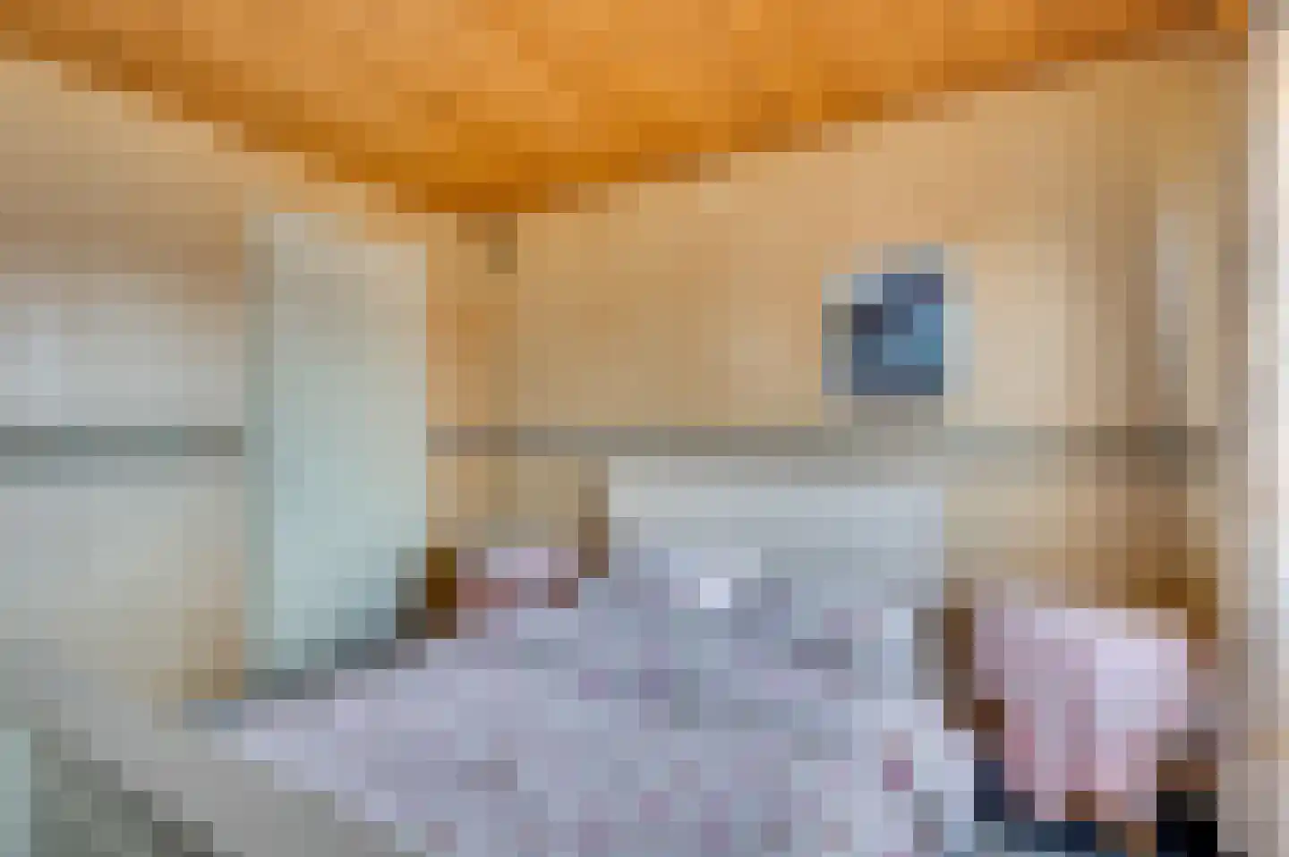 Oude Baan 22 Reuver thumbnail 36