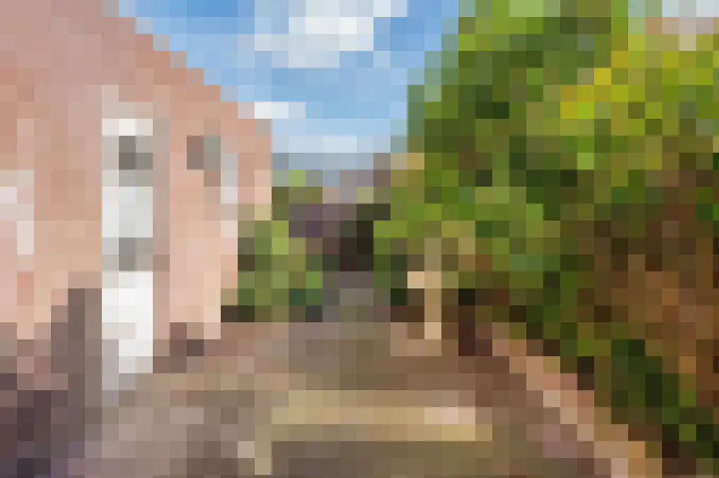 Oude Baan 22 Reuver thumbnail 38