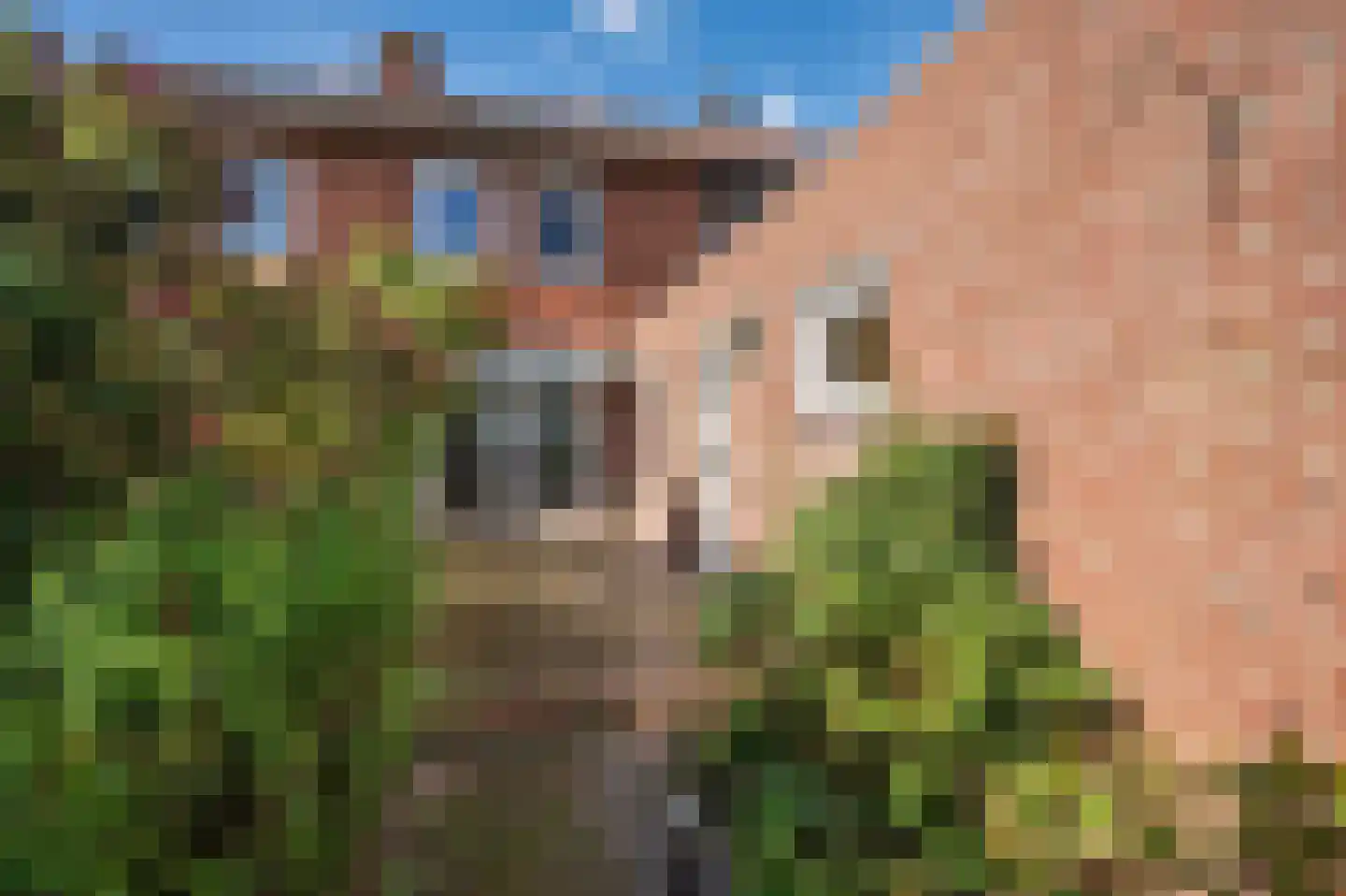 Oude Baan 22 Reuver thumbnail 41