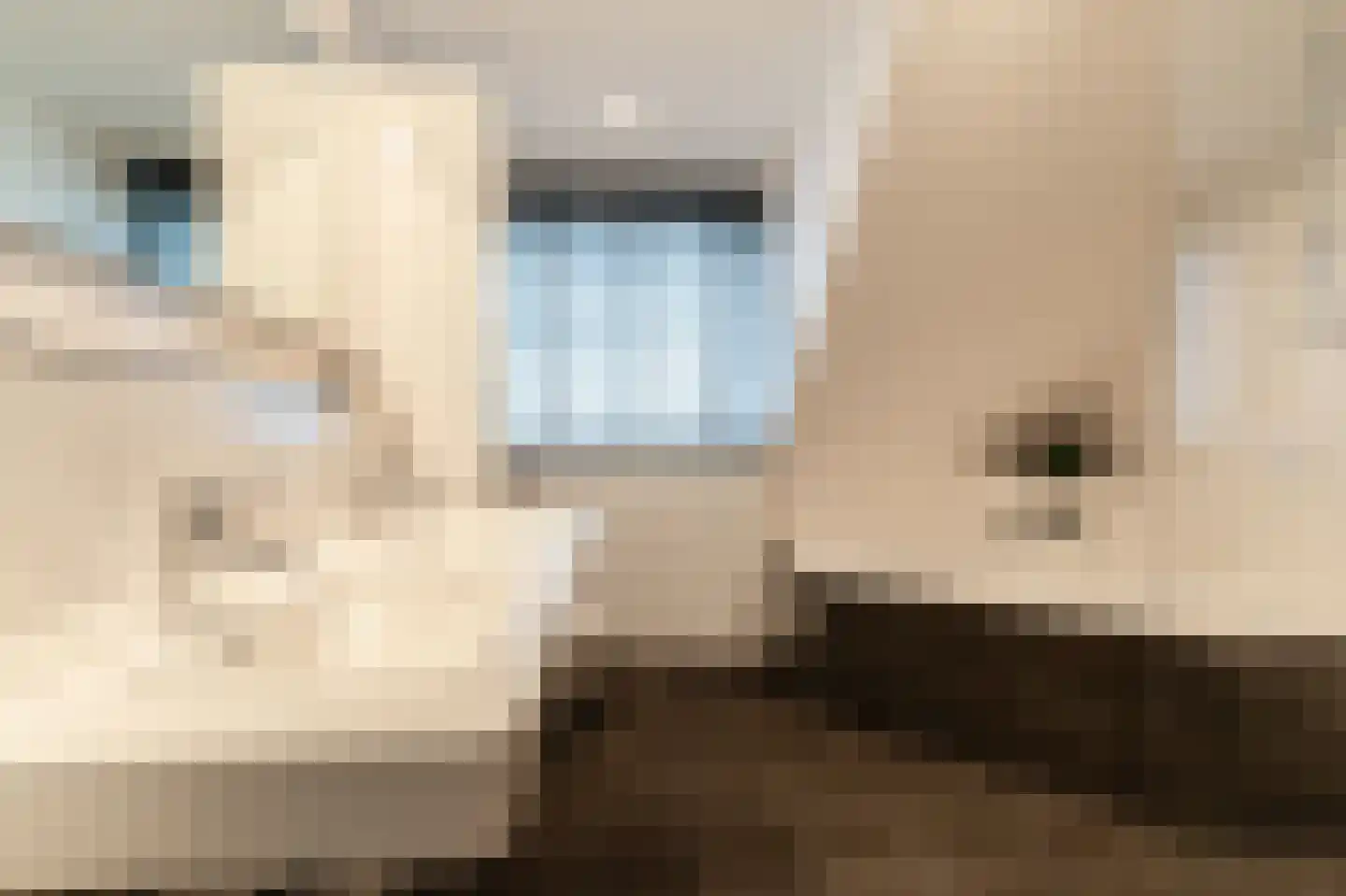 Oude Baan 28 Hulten thumbnail 35
