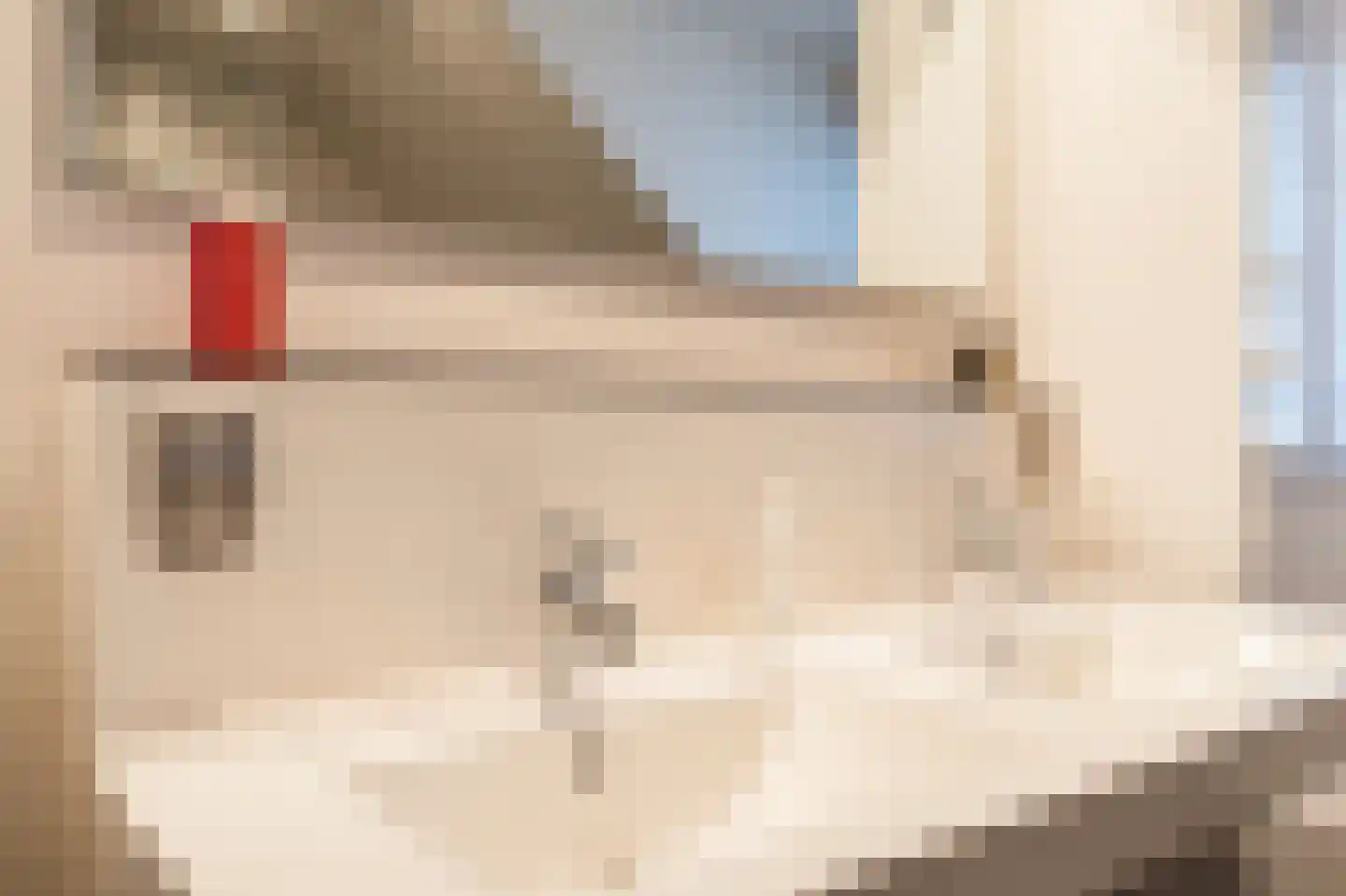 Oude Baan 28 Hulten thumbnail 36