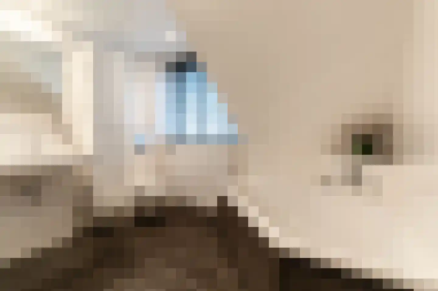 Oude Baan 28 Hulten thumbnail 39