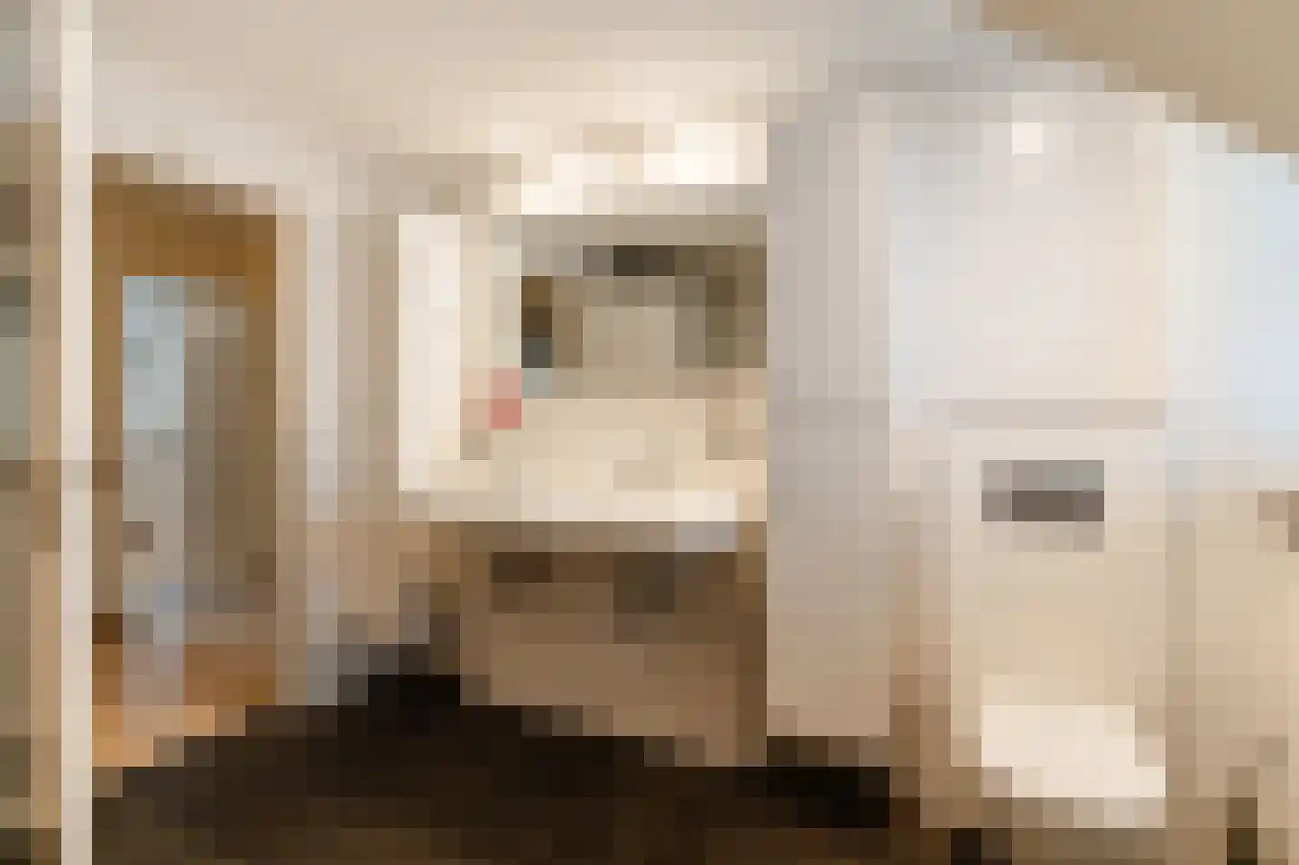 Oude Baan 28 Hulten thumbnail 40