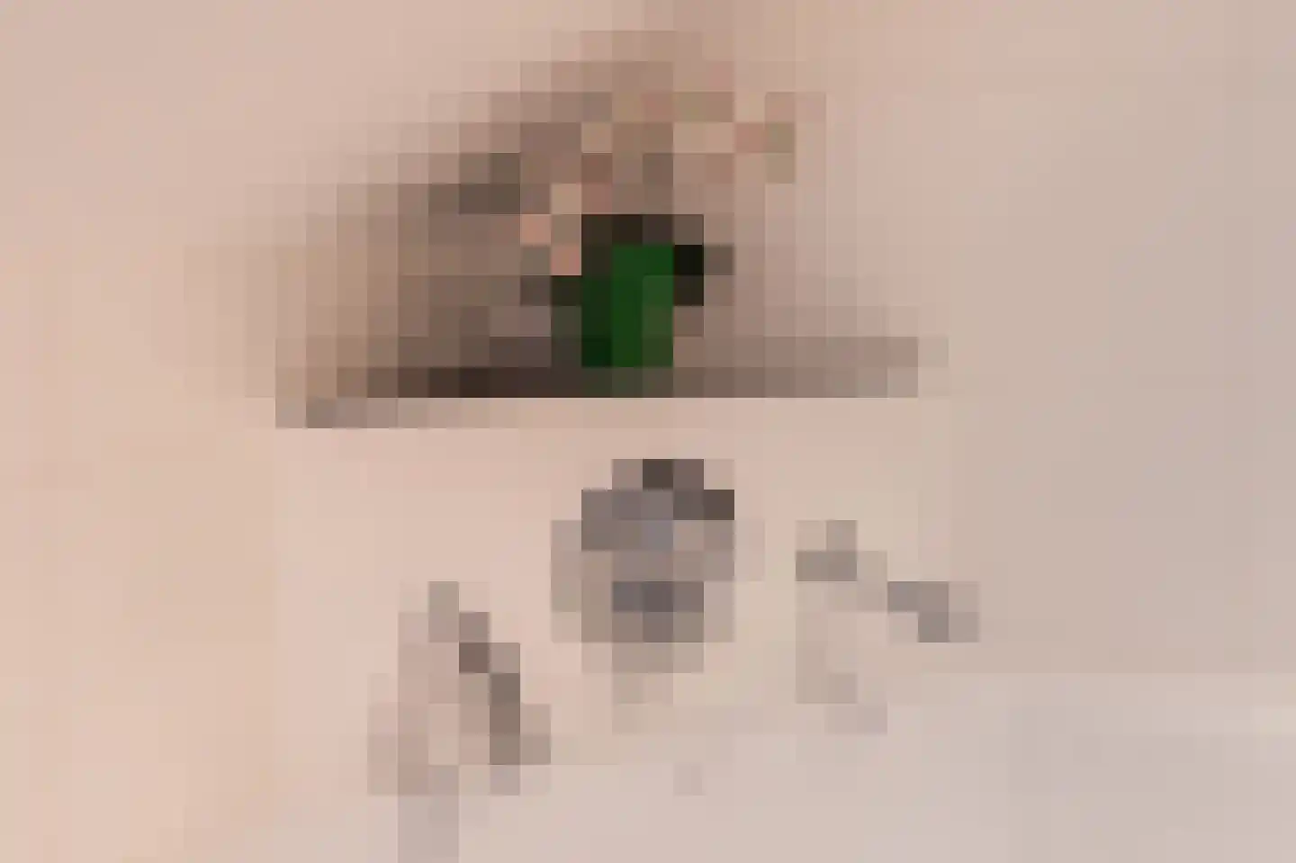 Oude Baan 28 Hulten thumbnail 41