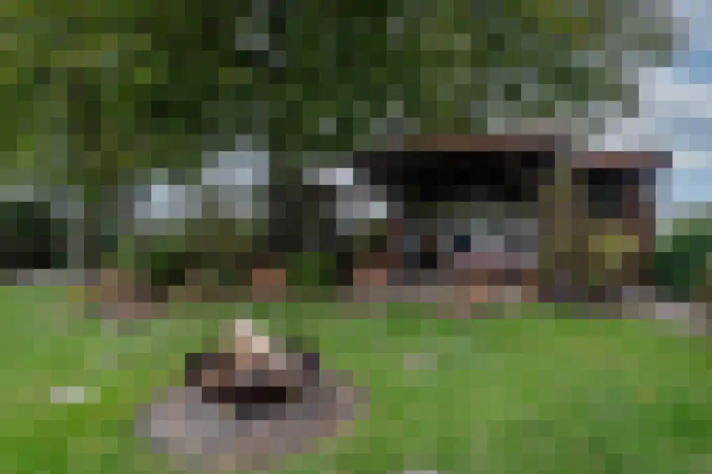 Oude Baan 28 Hulten thumbnail 55