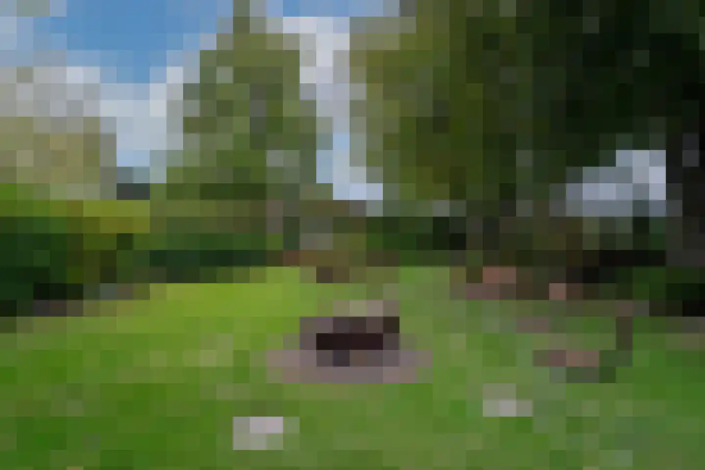 Oude Baan 28 Hulten thumbnail 58