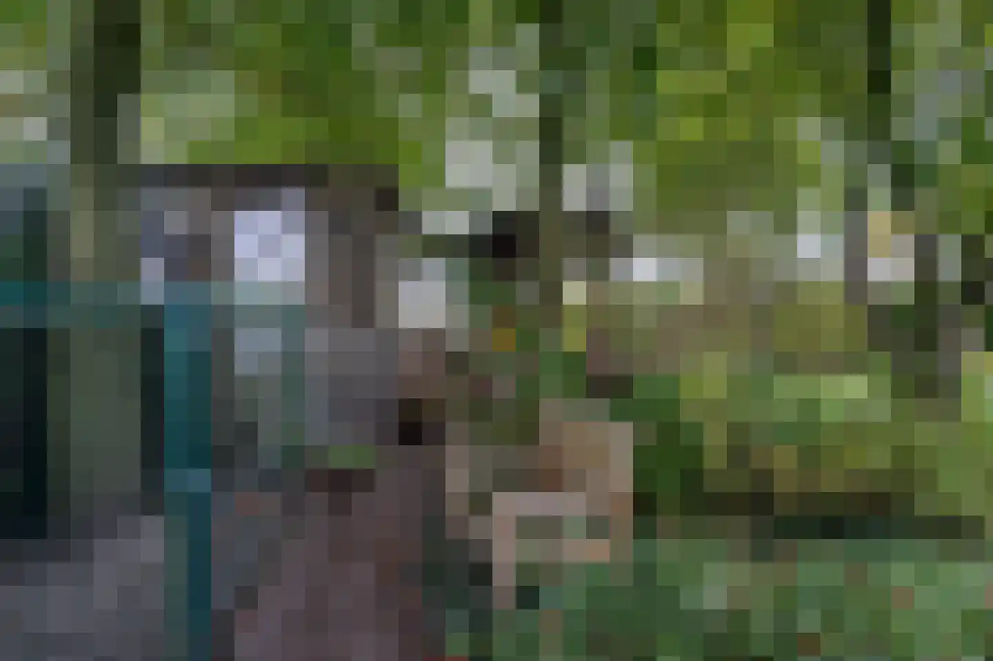 Oude Baan 28 Hulten thumbnail 61