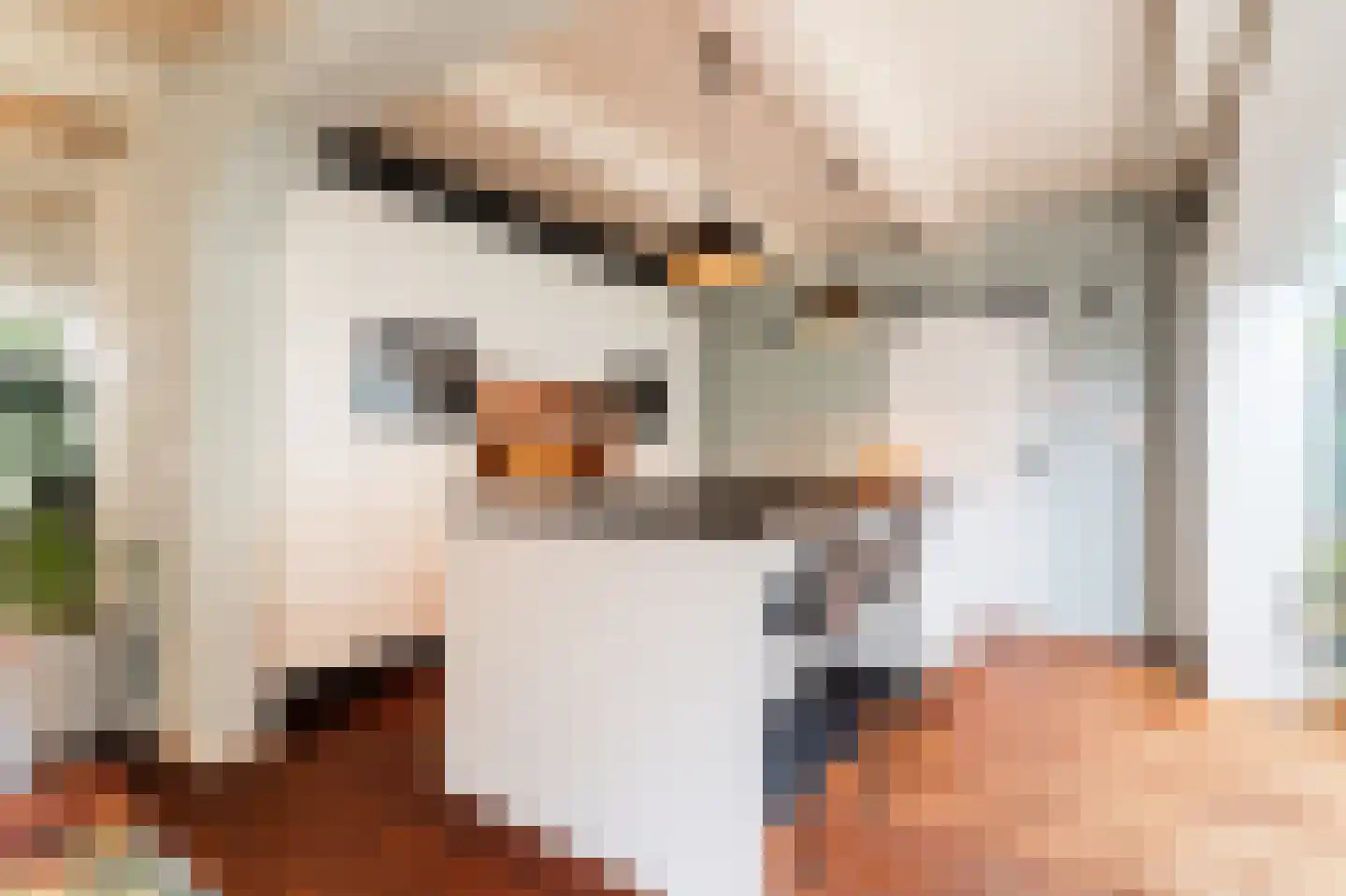 Oude Baan 28 Hulten thumbnail 8