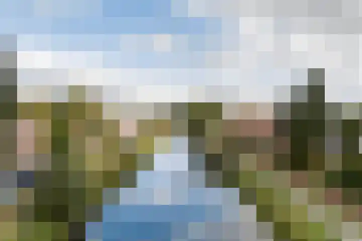 Oude Baan 39 Buchten thumbnail 11