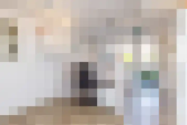 Oude Baan 39 Buchten thumbnail 32