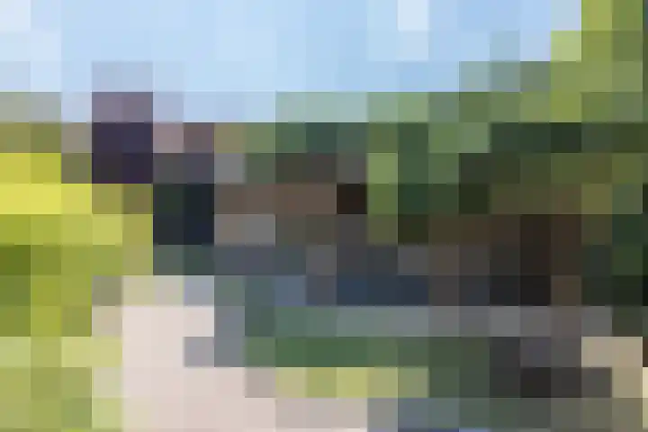 Oude Baan 39 Buchten thumbnail 37
