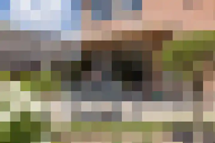 Oude Baan 39 Buchten thumbnail 38