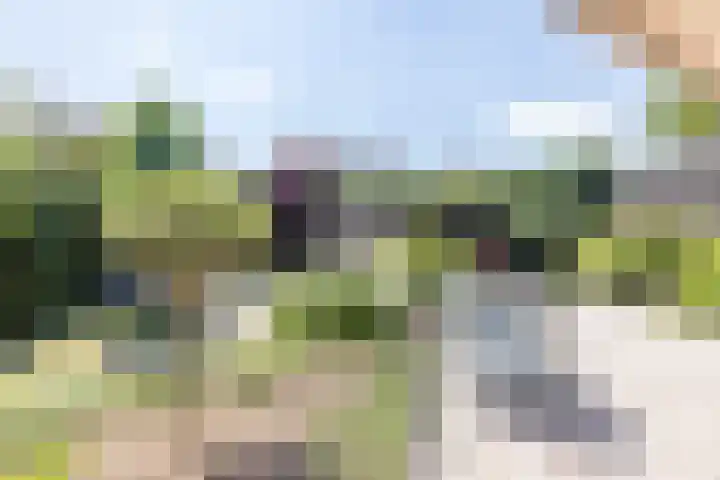Oude Baan 39 Buchten thumbnail 40