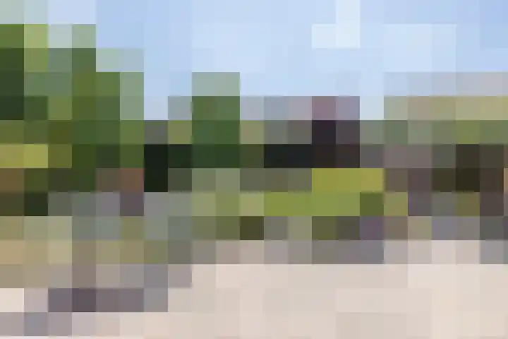 Oude Baan 39 Buchten thumbnail 41