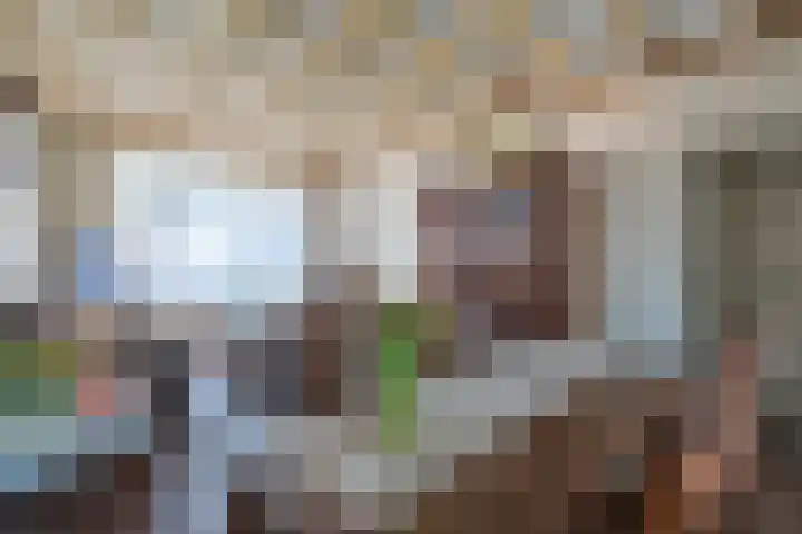 Oude Baan 39 Buchten thumbnail 44