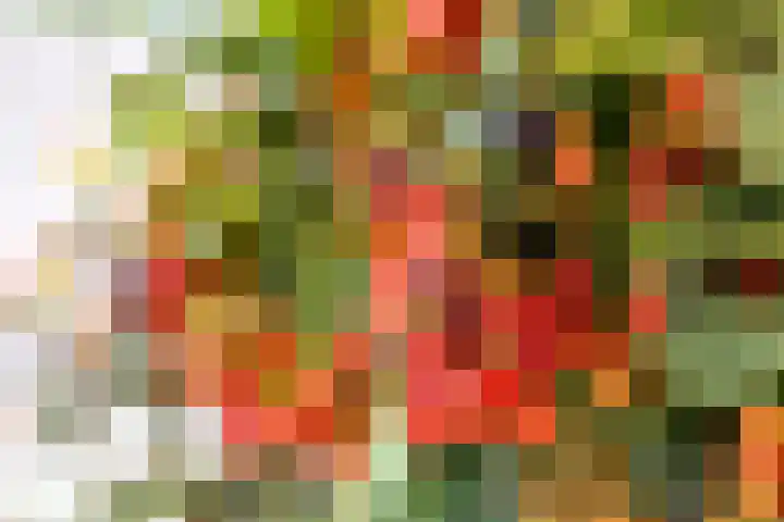 Oude Baan 39 Buchten thumbnail 48
