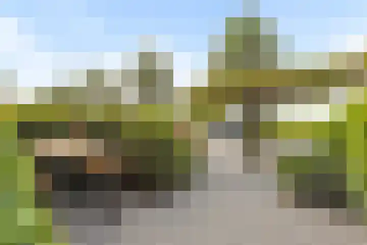Oude Baan 39 Buchten thumbnail 61