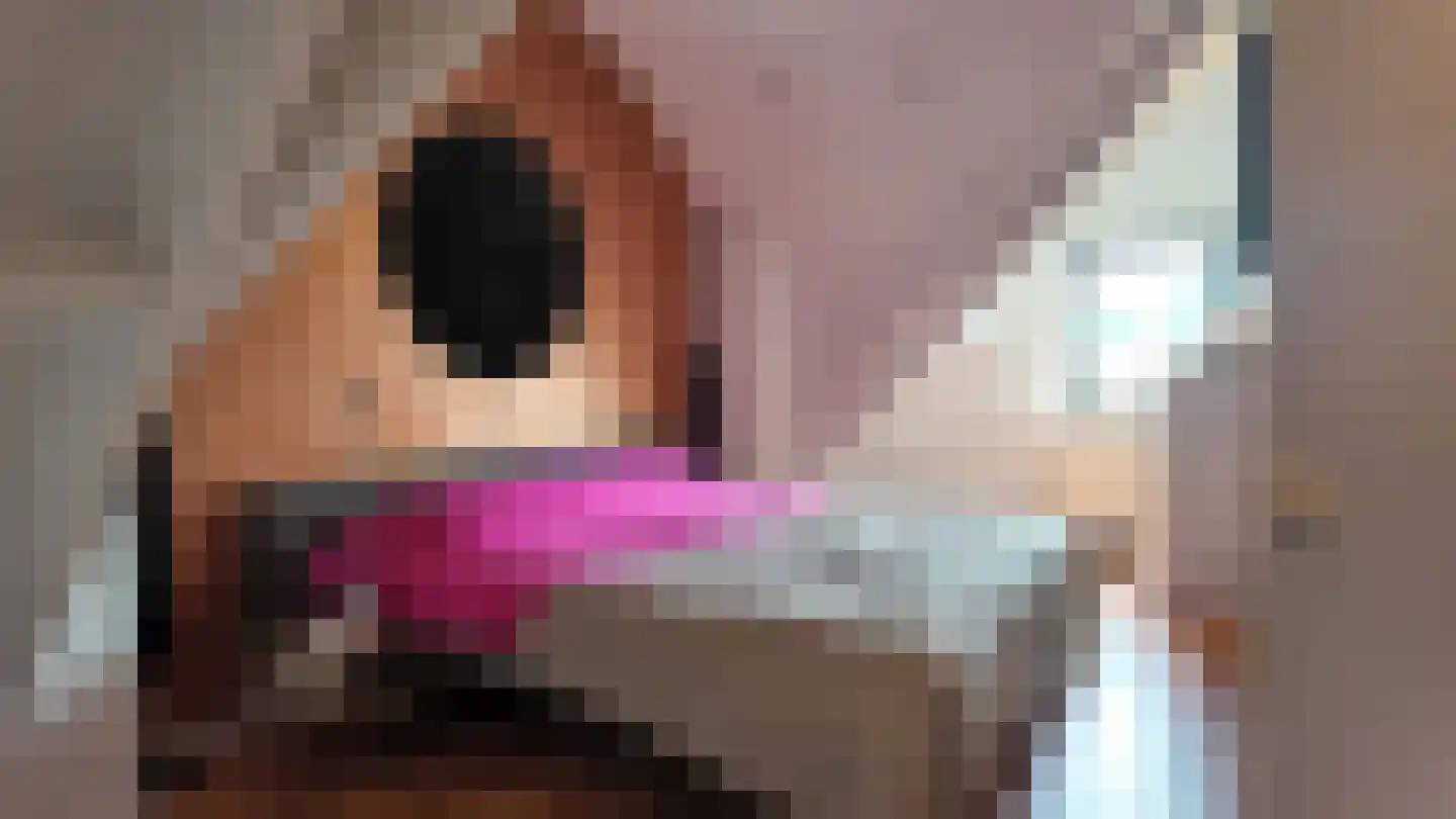 Oude Baan 398 1 Arriën thumbnail 11