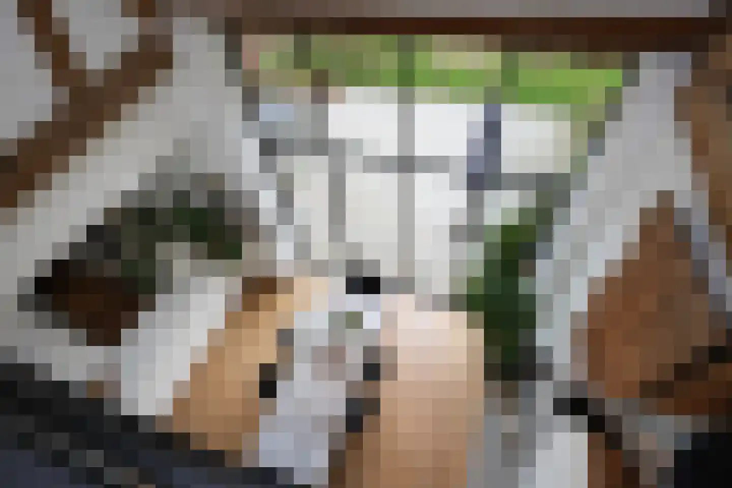 Oude Baan 45 C Wittem thumbnail 12