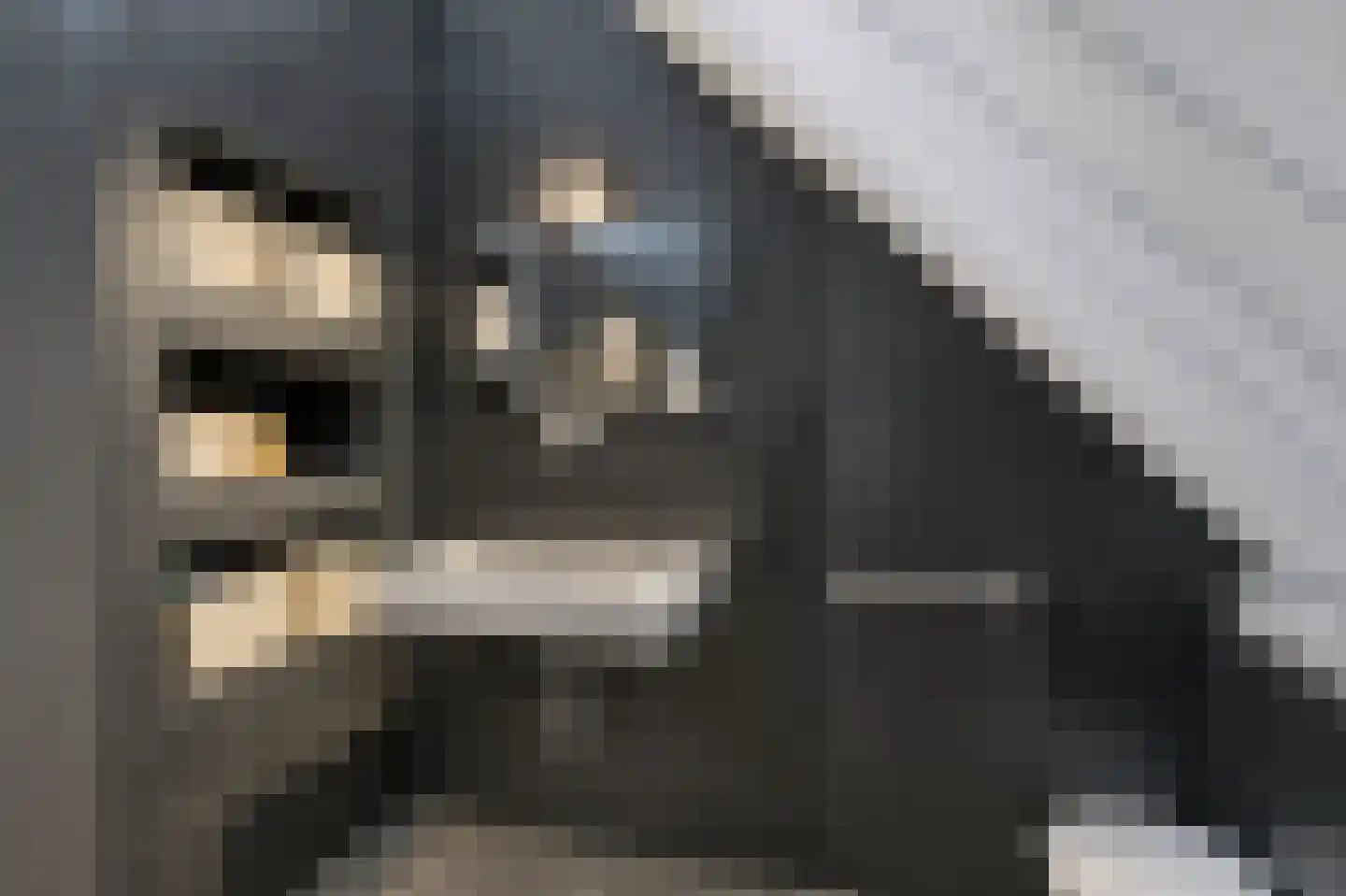 Oude Baan 45 C Wittem thumbnail 25