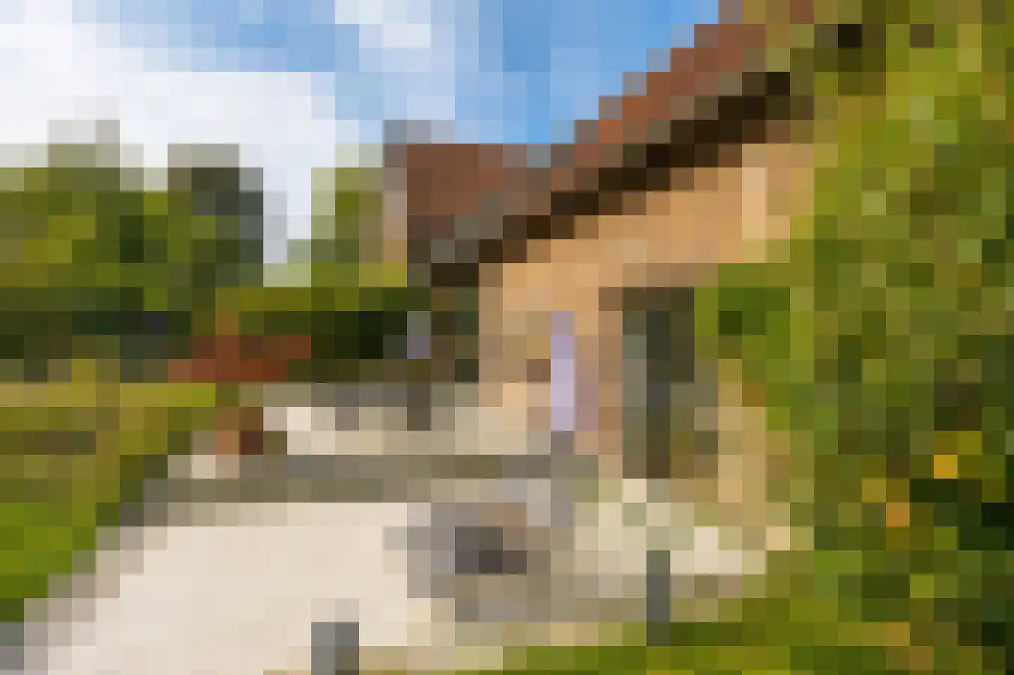 Oude Baan 45 C Wittem thumbnail 37