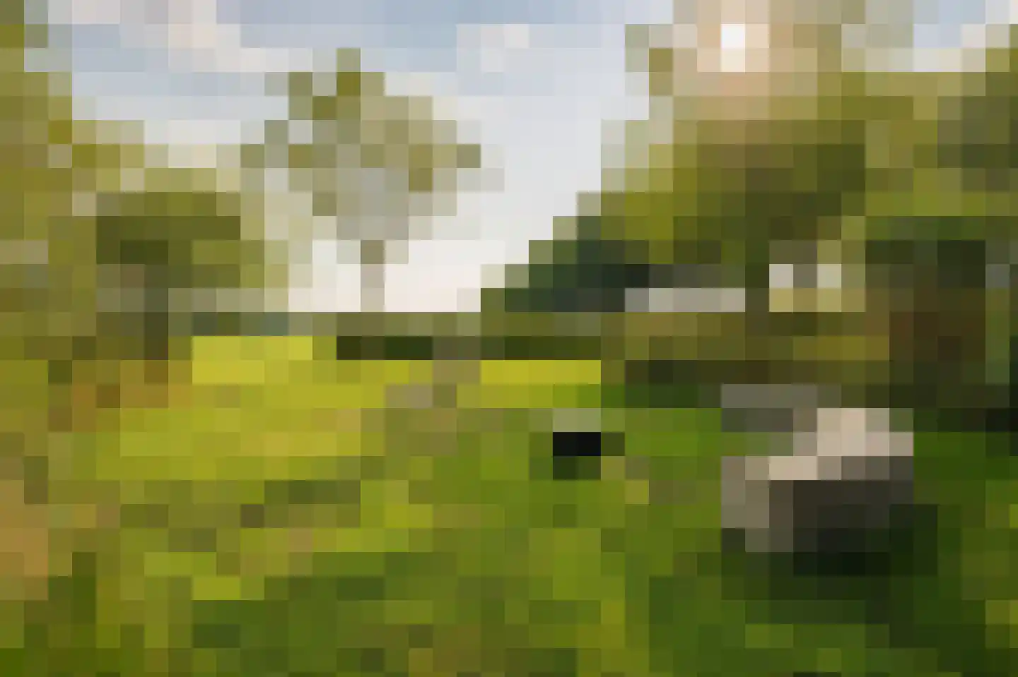 Oude Baan 45 C Wittem thumbnail 38