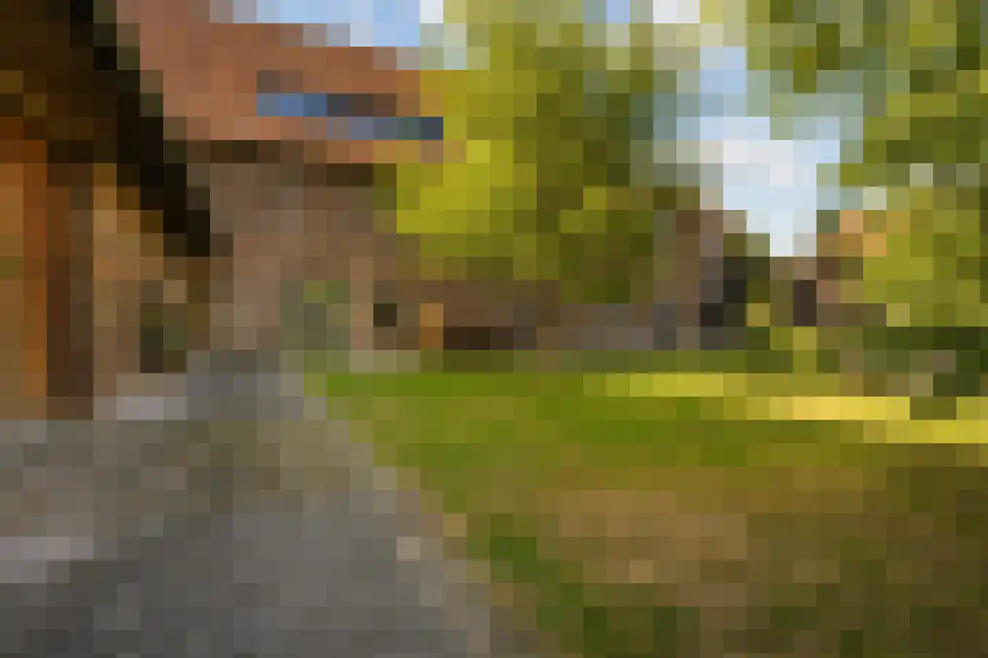 Oude Baan 45 C Wittem thumbnail 40