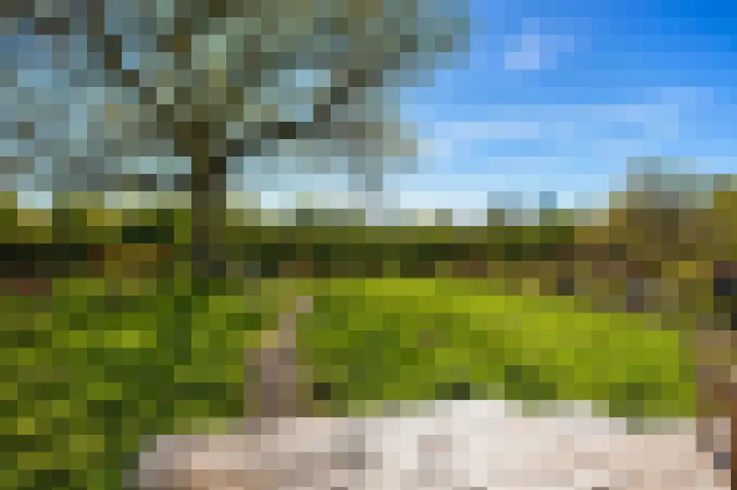 Oude Baan 45 E Wittem thumbnail 25