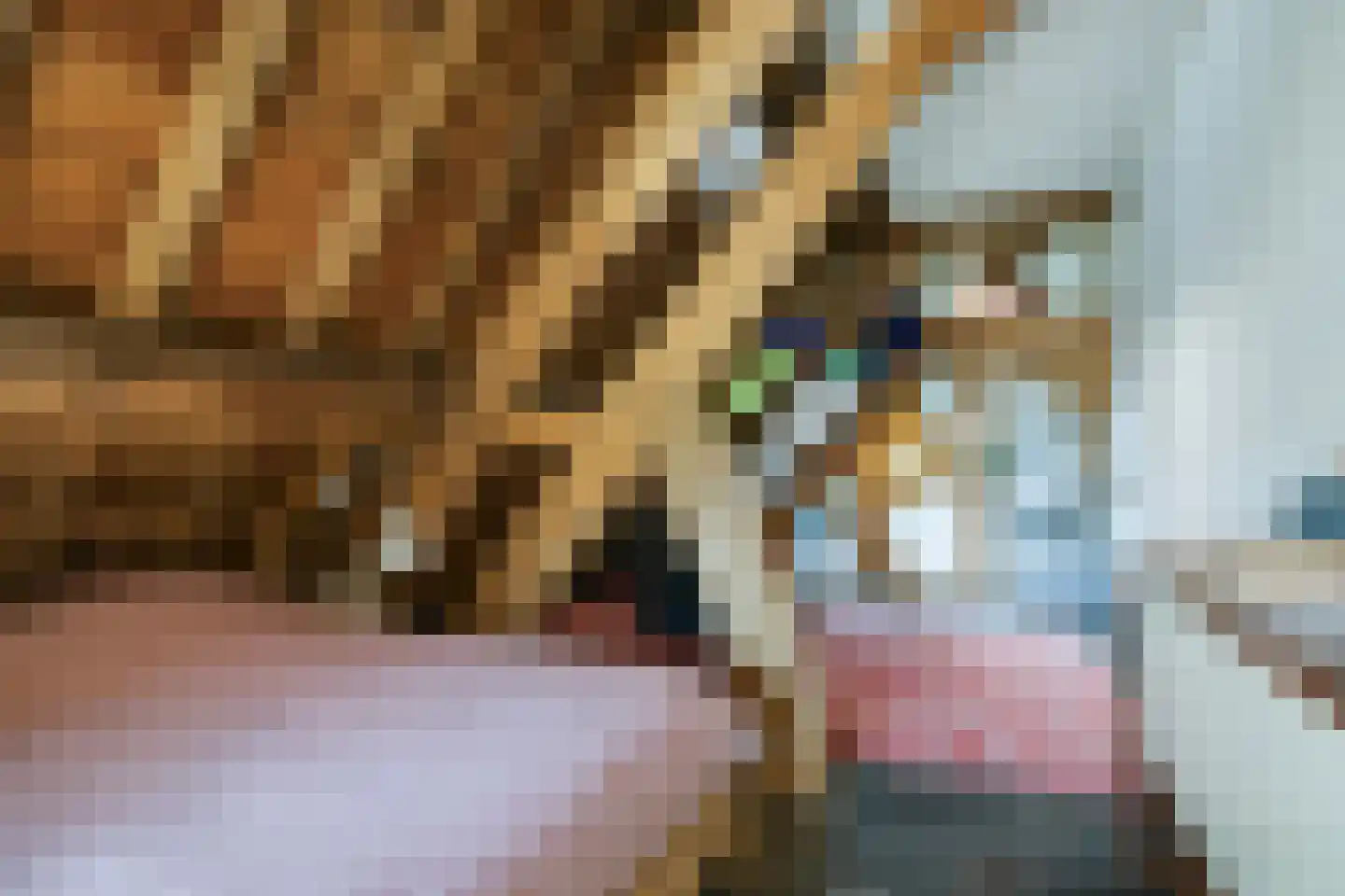 Oude Baan 45 F Wittem thumbnail 23